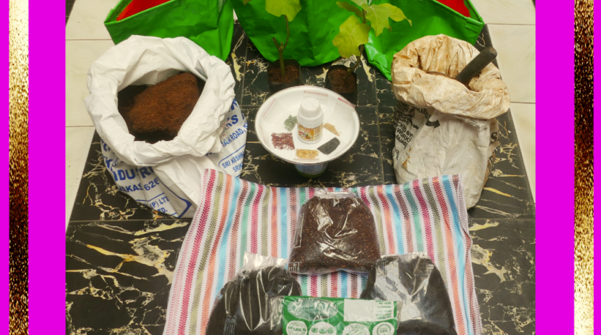 My home garden and stuff I bought recently